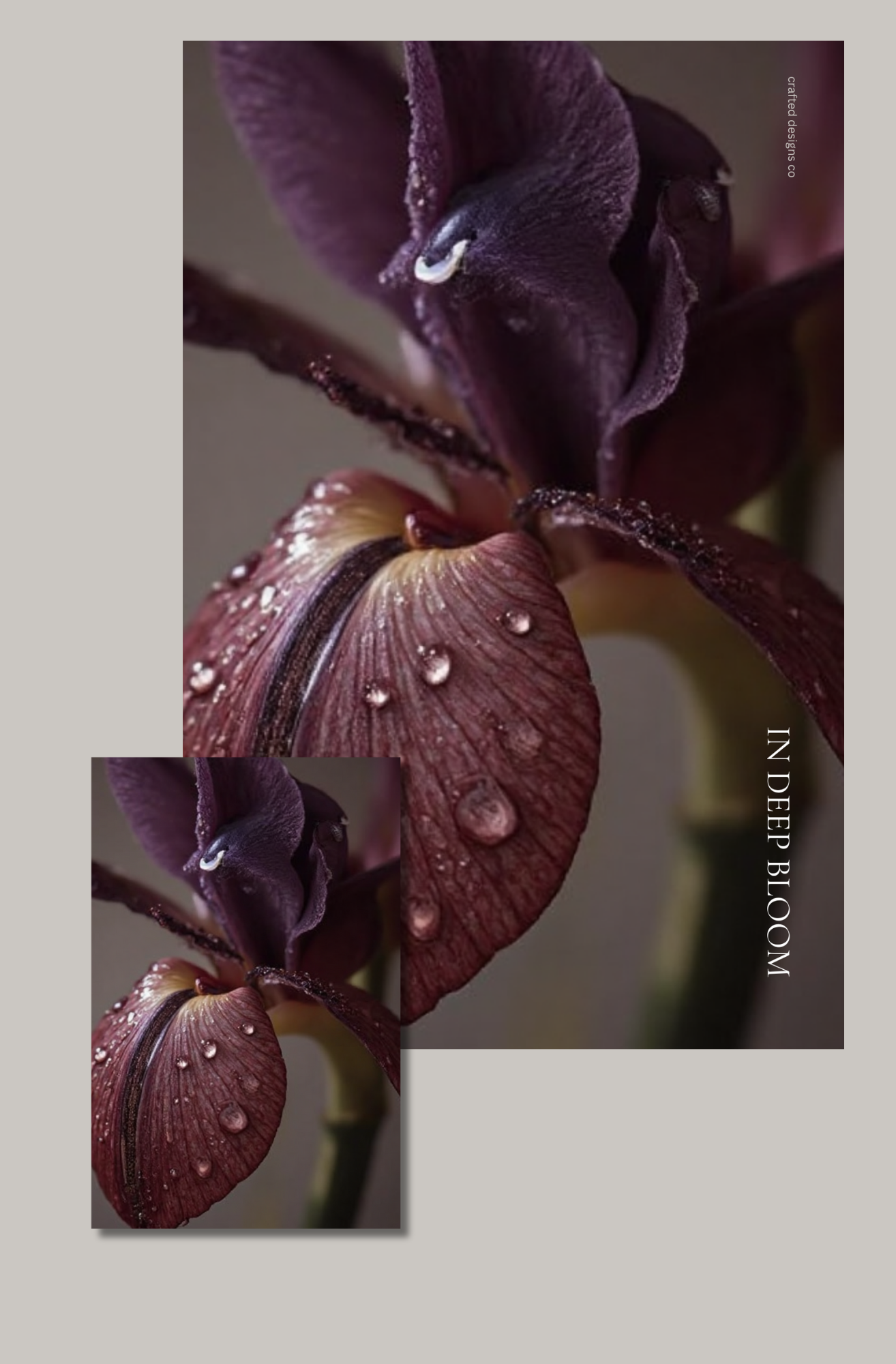 Crafted Lux – Reserve: IN DEEP BLOOM