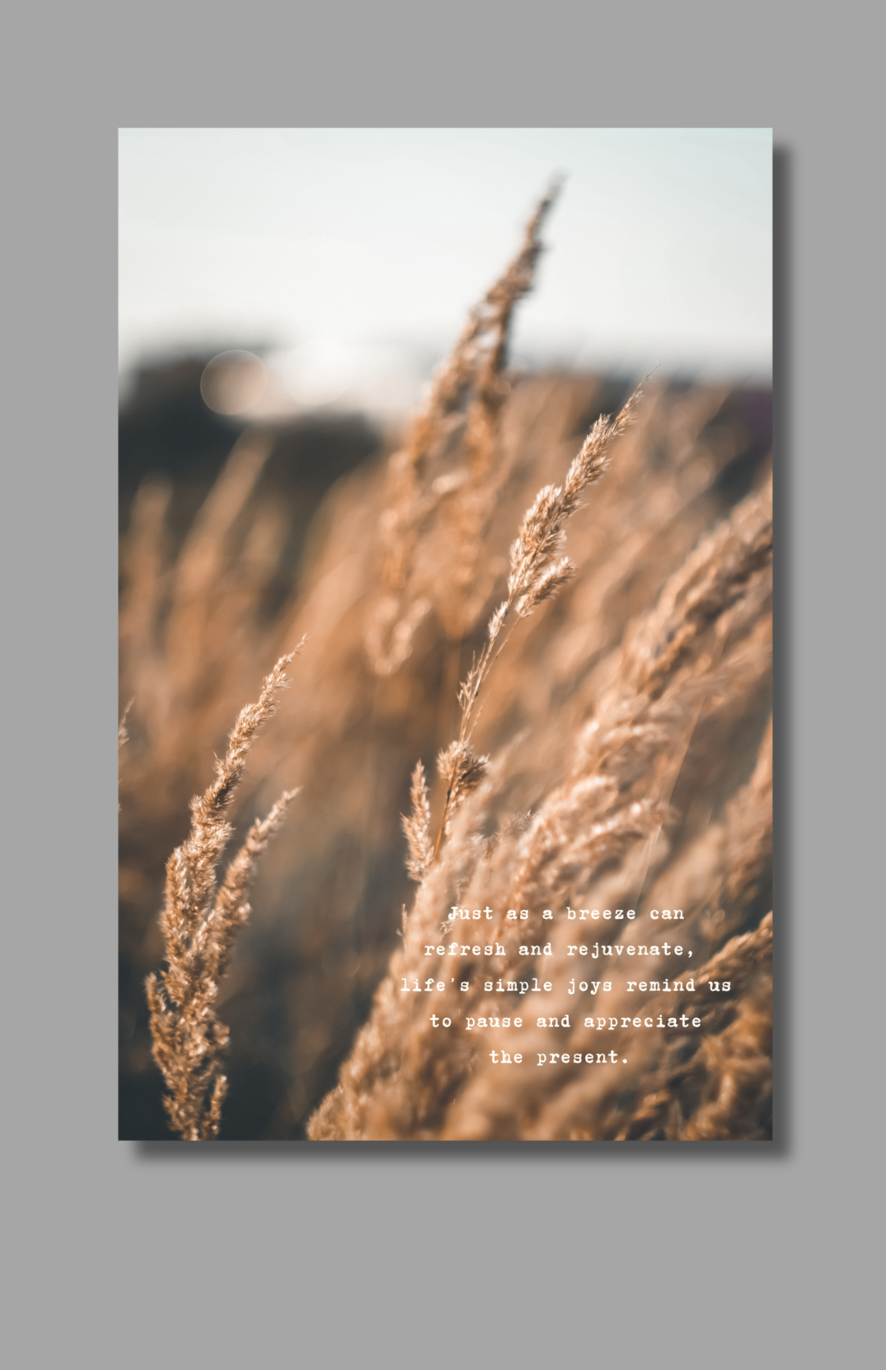 Life's Simple Joys Dashboard