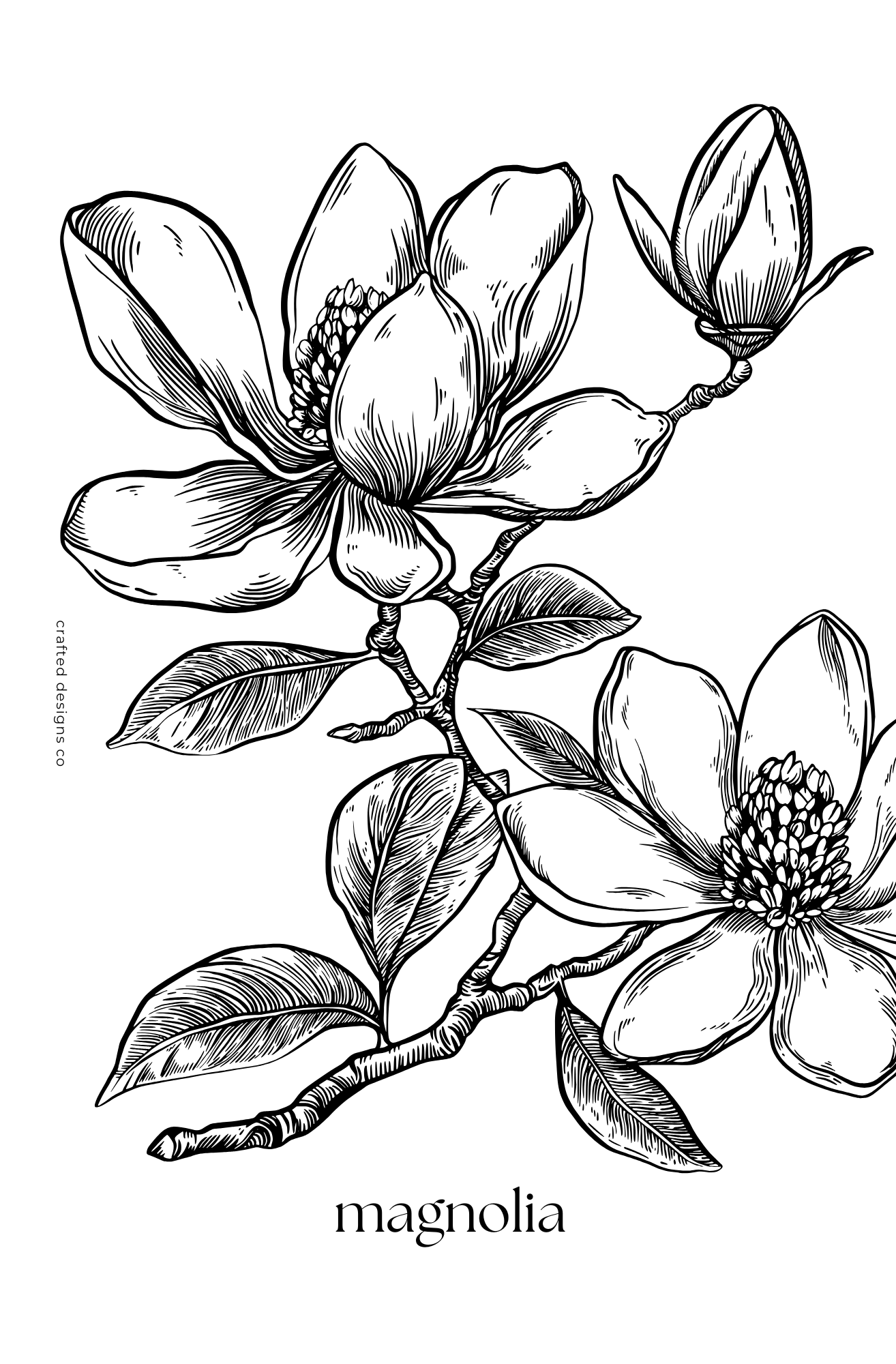 Magnolia Branch Dashboard