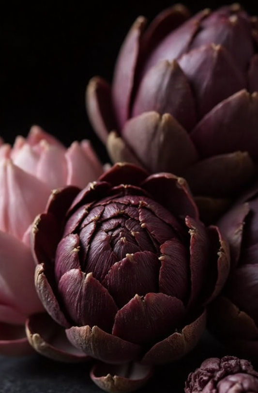 Crafted Lux – Reserve: VELVET BLOOM