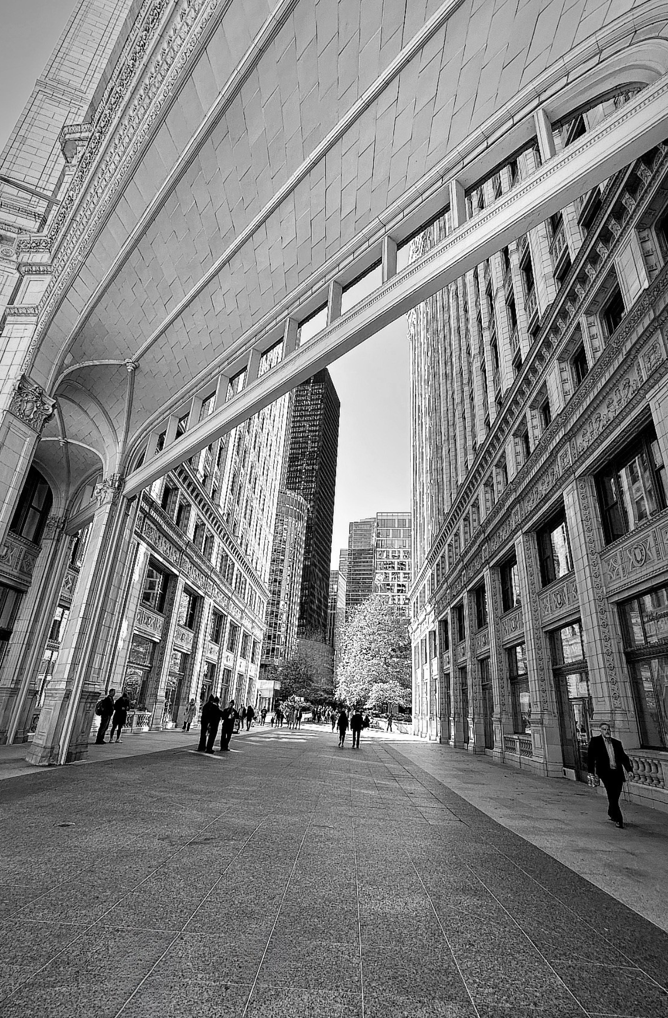 Architectural Grace Dashboard