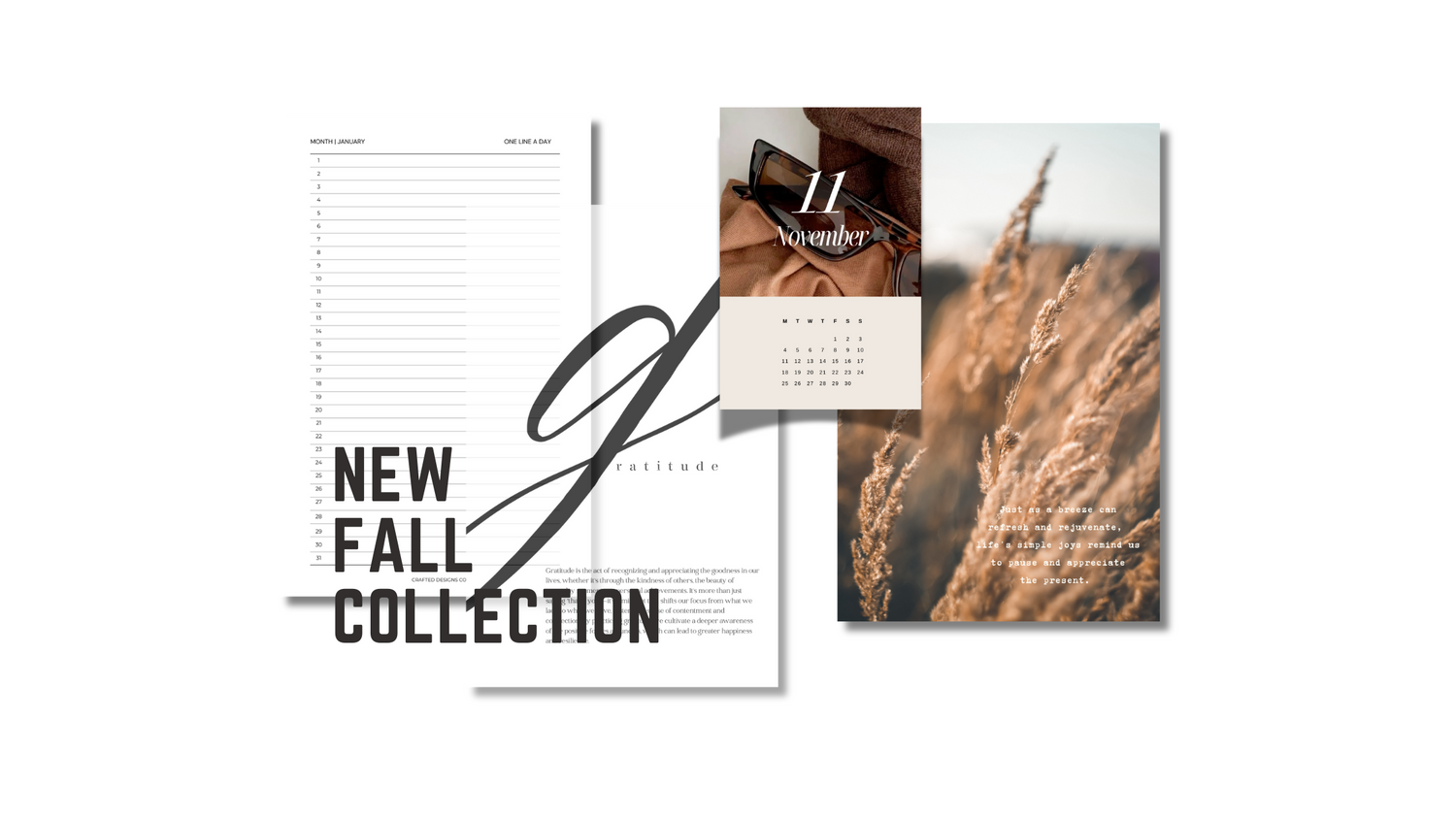 FALL COLLECTION