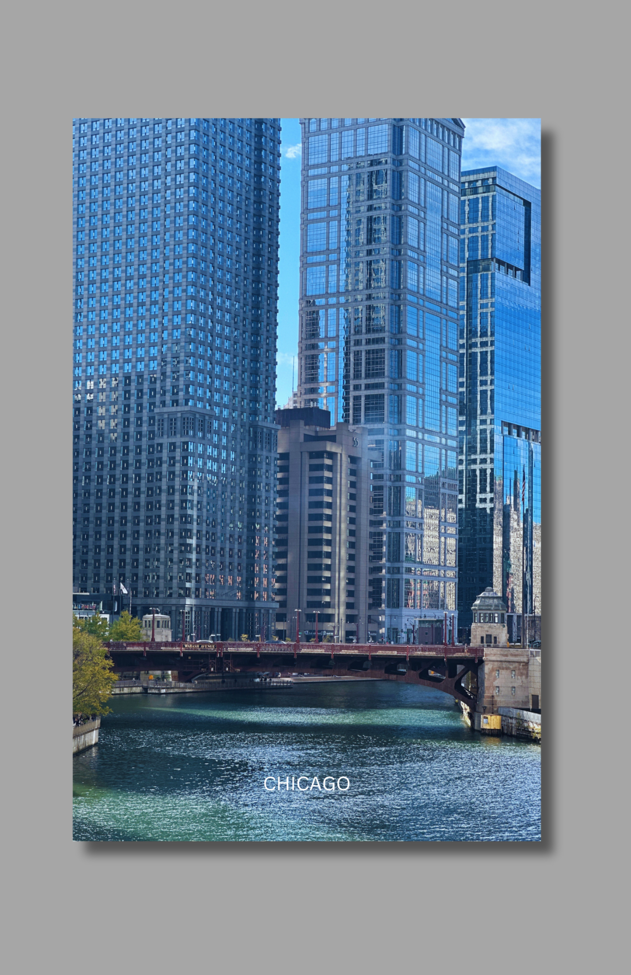 The Chicago Riverwalk