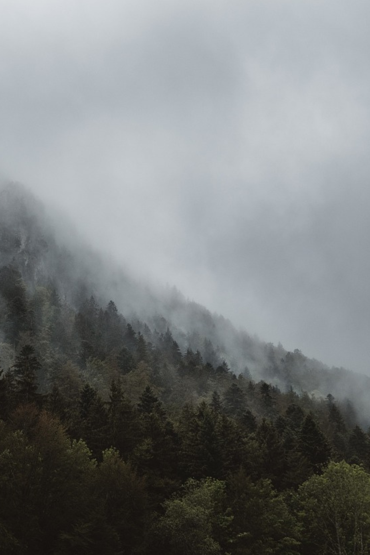 Faith Dashboard: LOVE